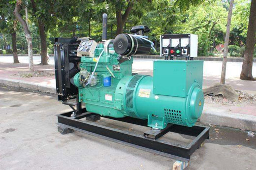 荥经发电机不发电的原因 荥经发电机不发电的原因