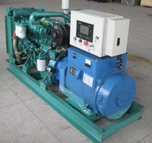 荥经发电机出租